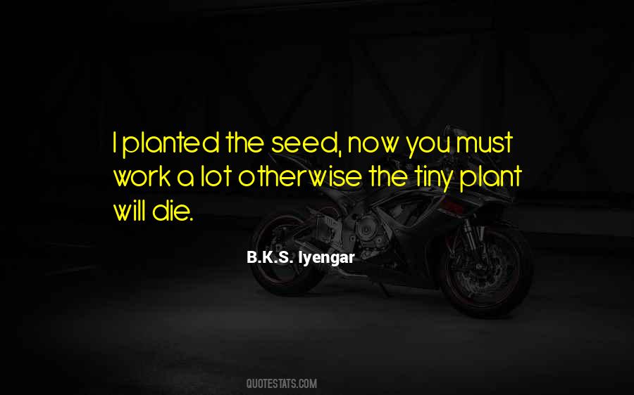 You Plant A Seed Quotes #1364361