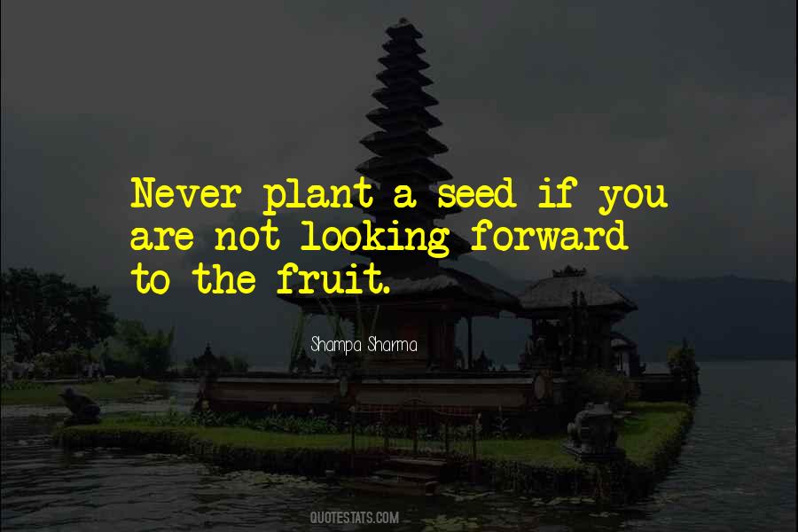You Plant A Seed Quotes #1743479