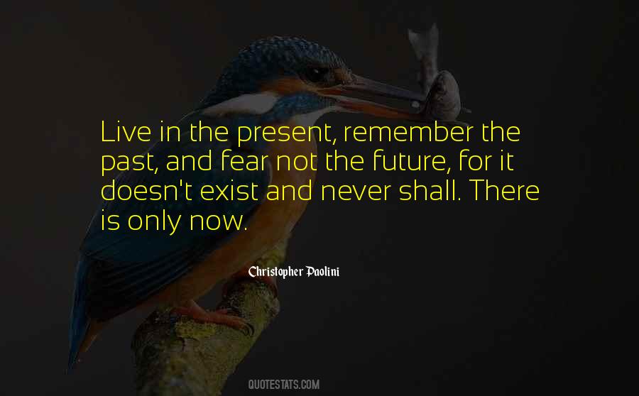 There Is Only Now Quotes #1298301