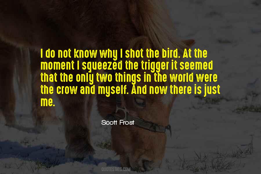 There Is Only Now Quotes #268635