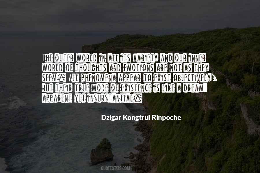 Dzigar Kongtrul Quotes #958148