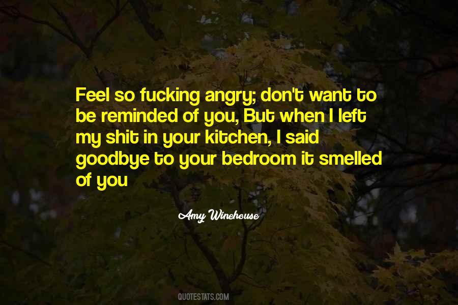 I Love You Angry Quotes #951115