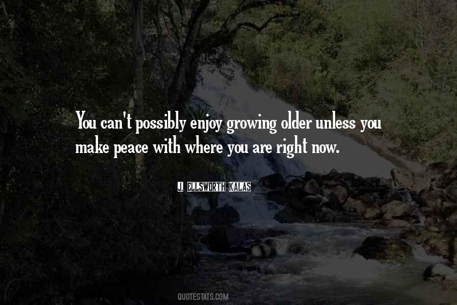 Enjoy Now Quotes #461942