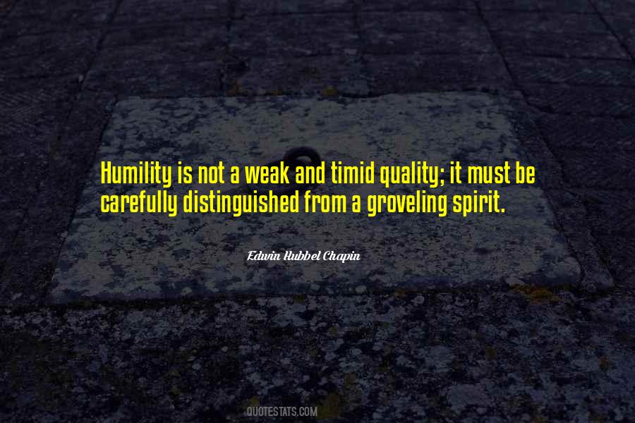 E. H. Chapin Quotes #139841