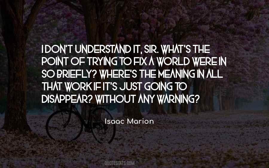 Meaning In Quotes #1073152