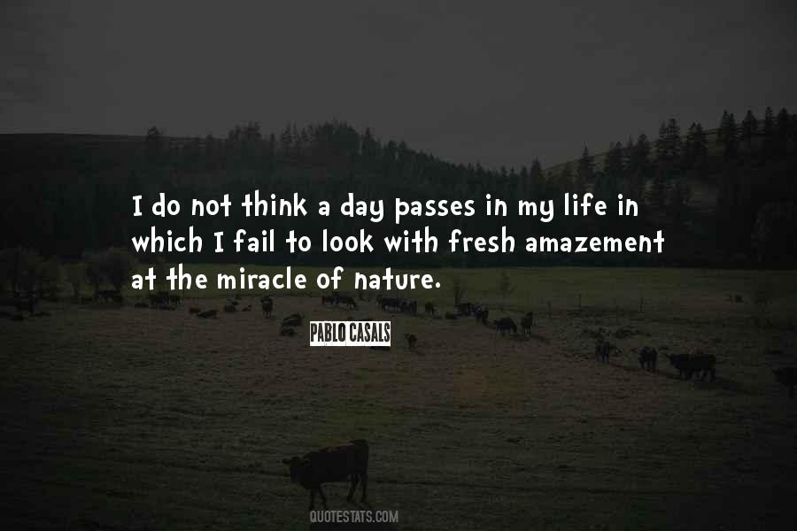 Each Day Is A Miracle Quotes #249806