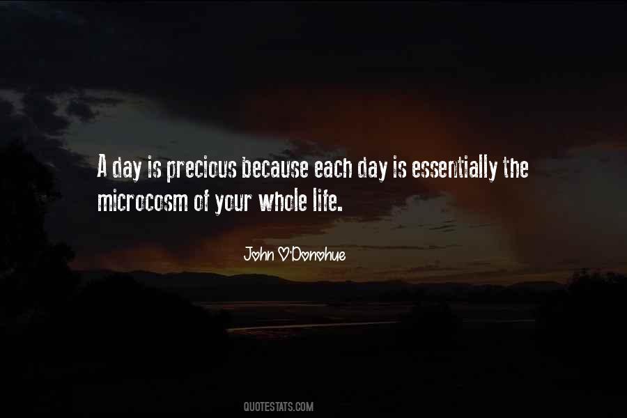 Each Day Is Precious Quotes #414109