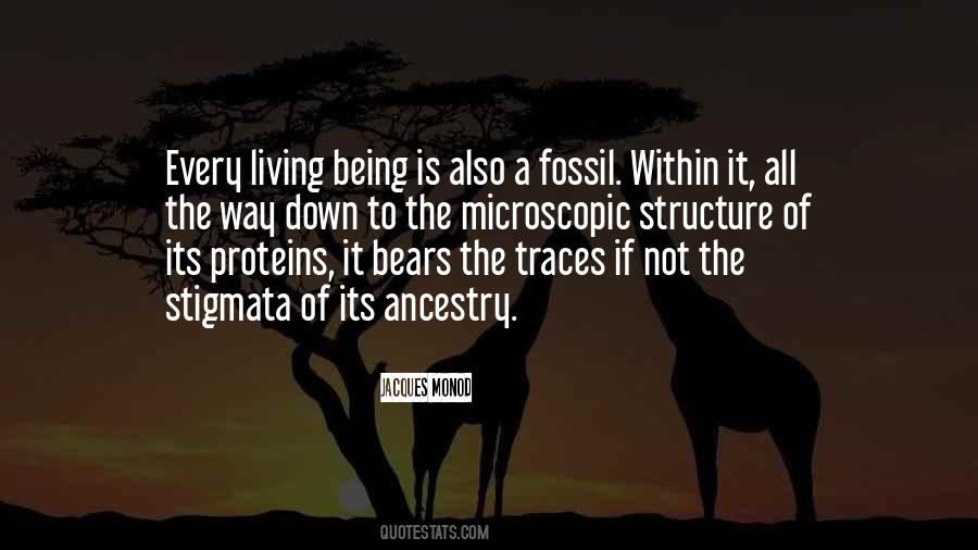 Its A Way Of Life Quotes #1809767