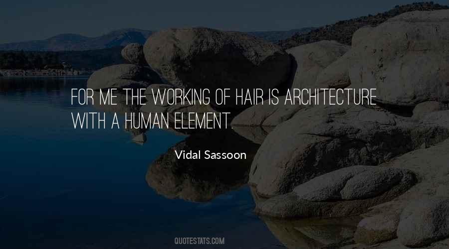 Human Hair Quotes #1720552