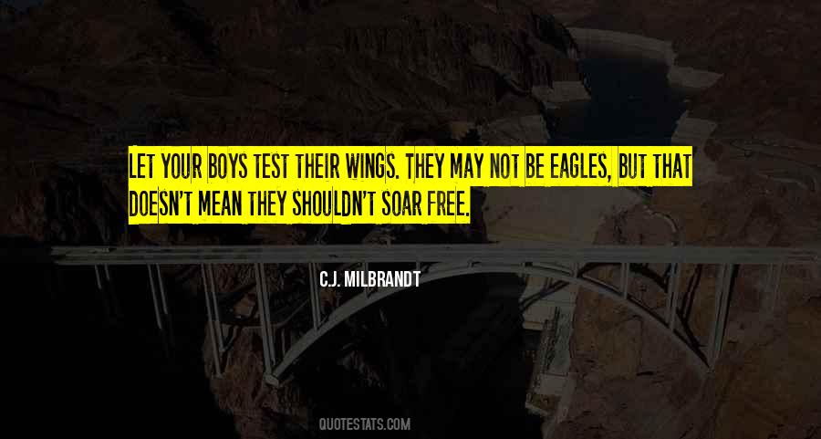 Eagles Soar Quotes #396544