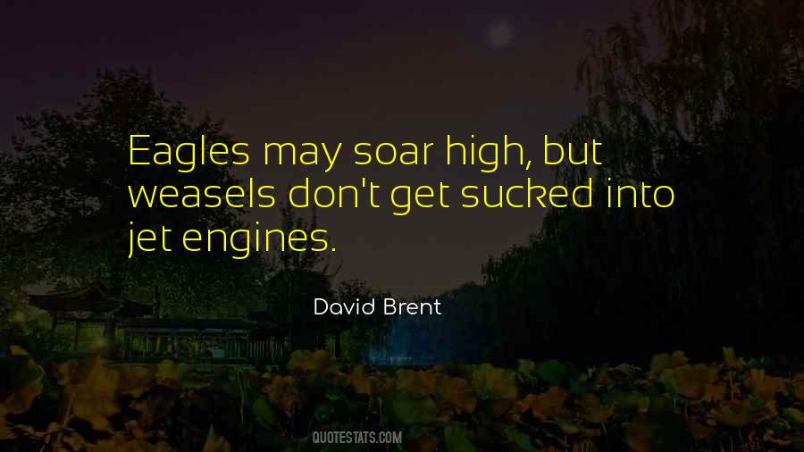 Eagles Soar Quotes #580060