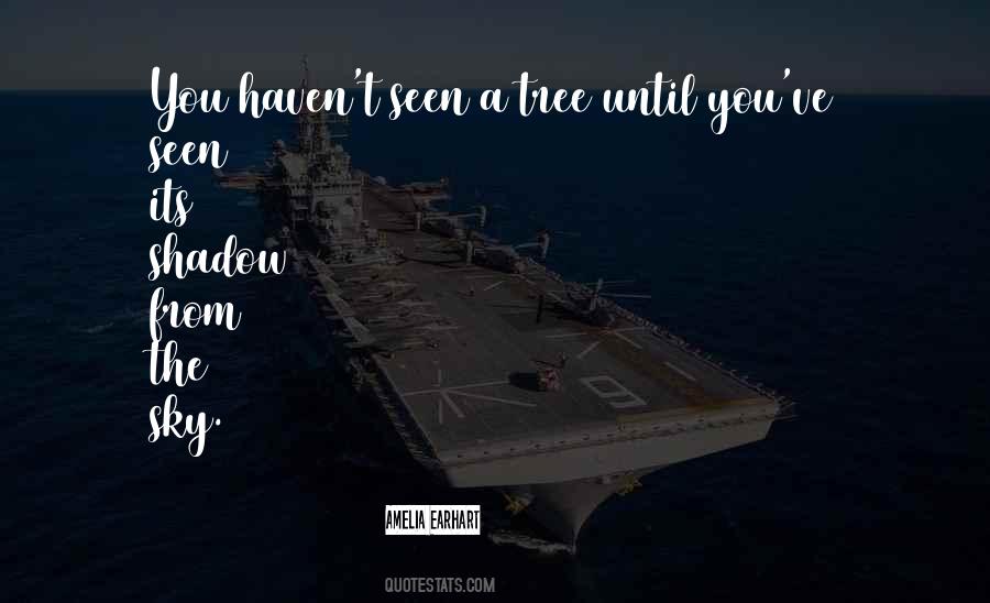 Earhart Quotes #794808