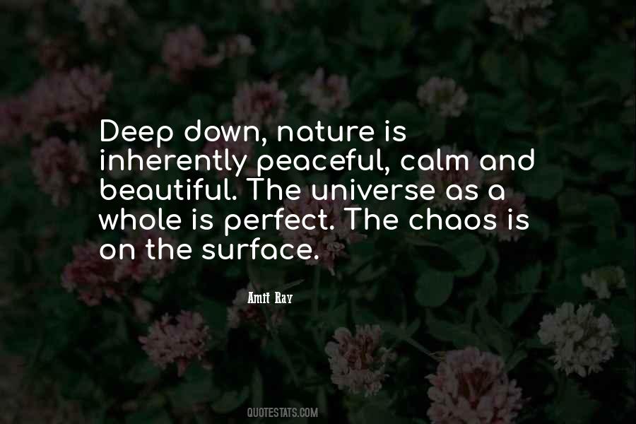 Chaos Calm Quotes #1846903