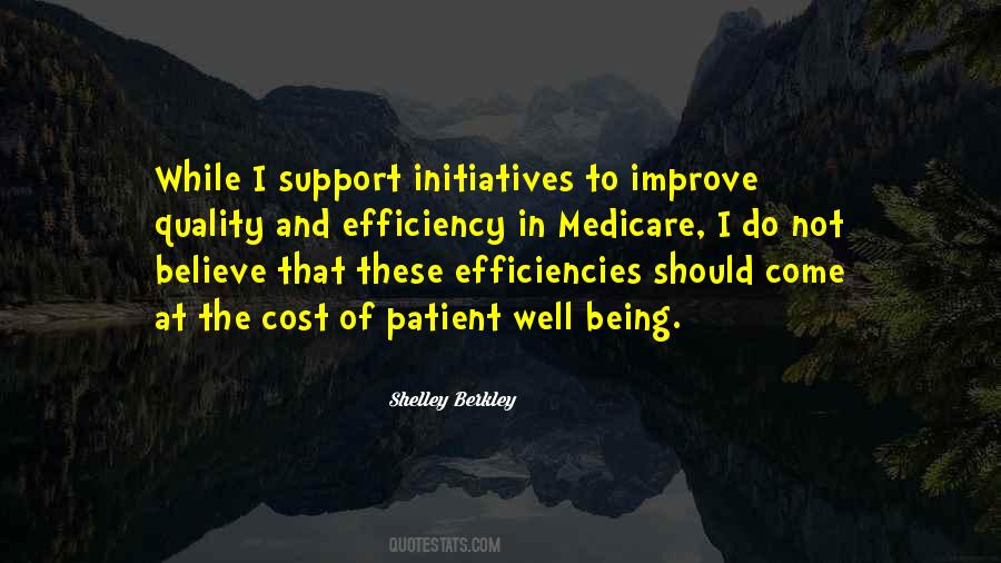 Quotes About Initiatives #249297