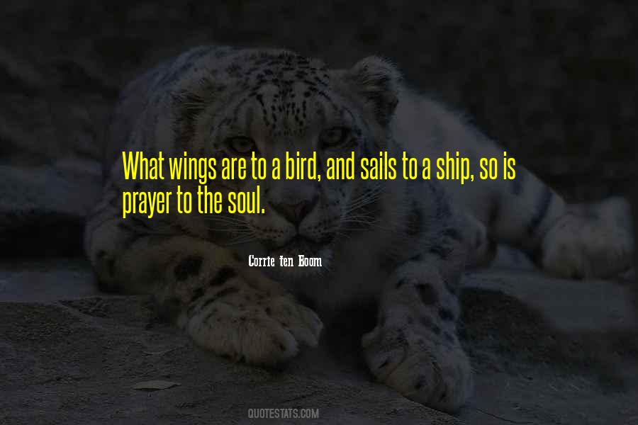 We All Have Wings Quotes #83788