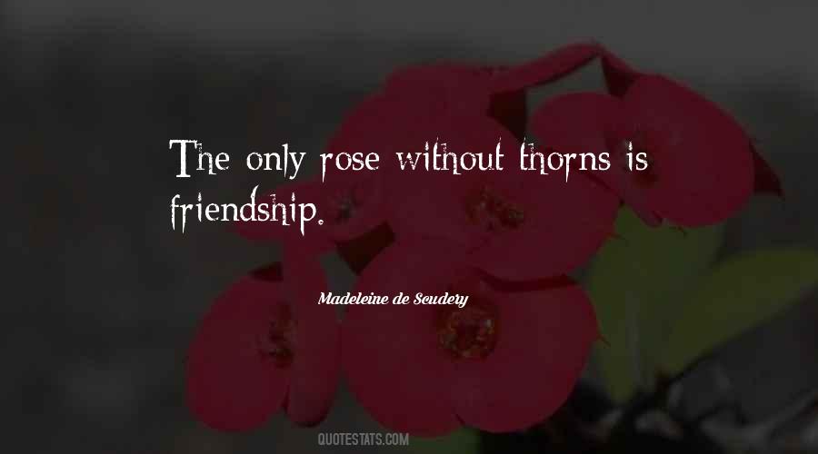 Friendship Rose Quotes #61354
