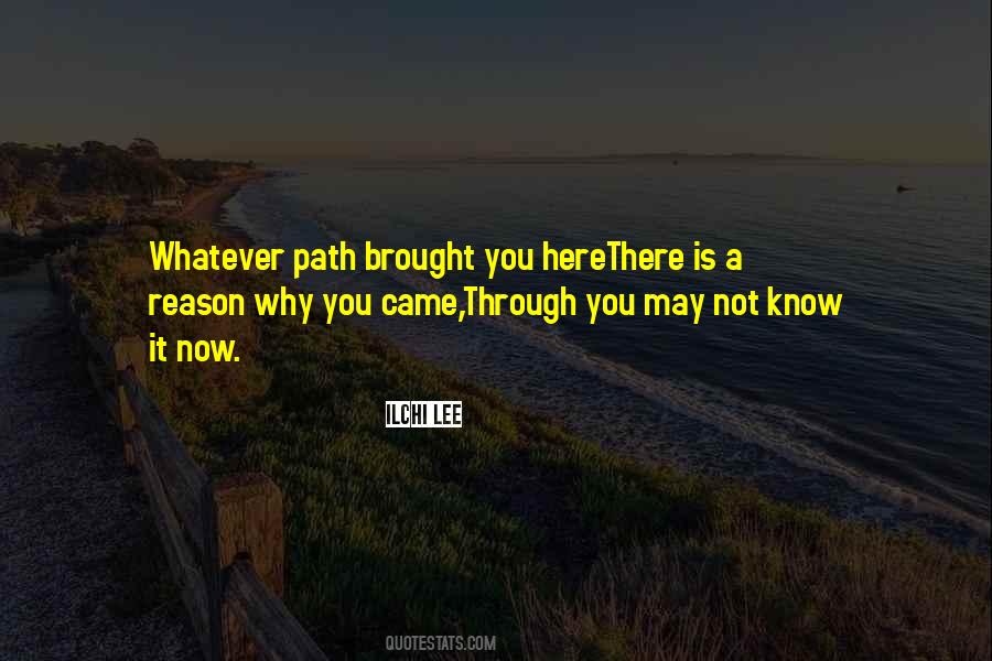 A Path Through Quotes #811074
