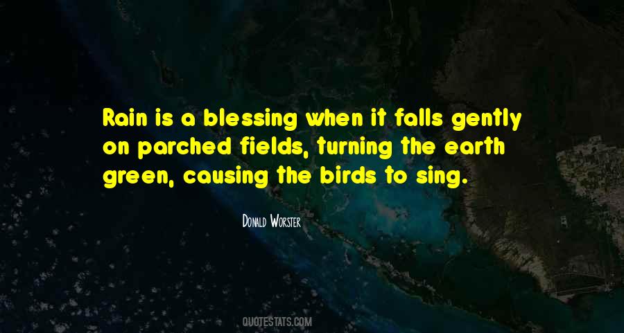 A Blessing Quotes #1258672