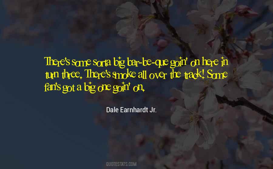 Earnhardt Jr Quotes #1313465