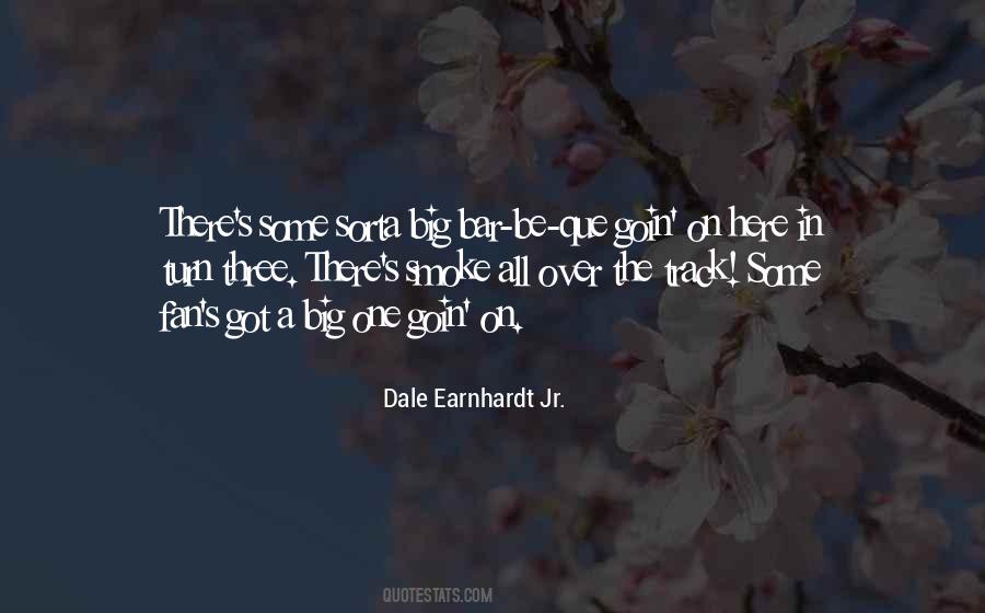Earnhardt Quotes #1313465