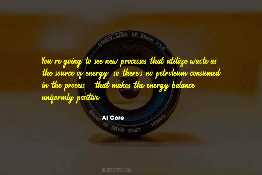 In The Process Quotes #1199557