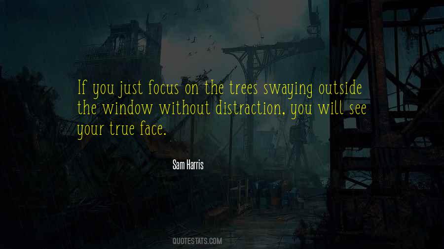 Just Focus On You Quotes #891812