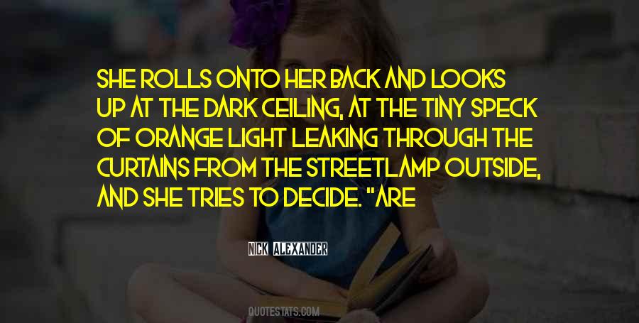 Ceiling Light Quotes #133264