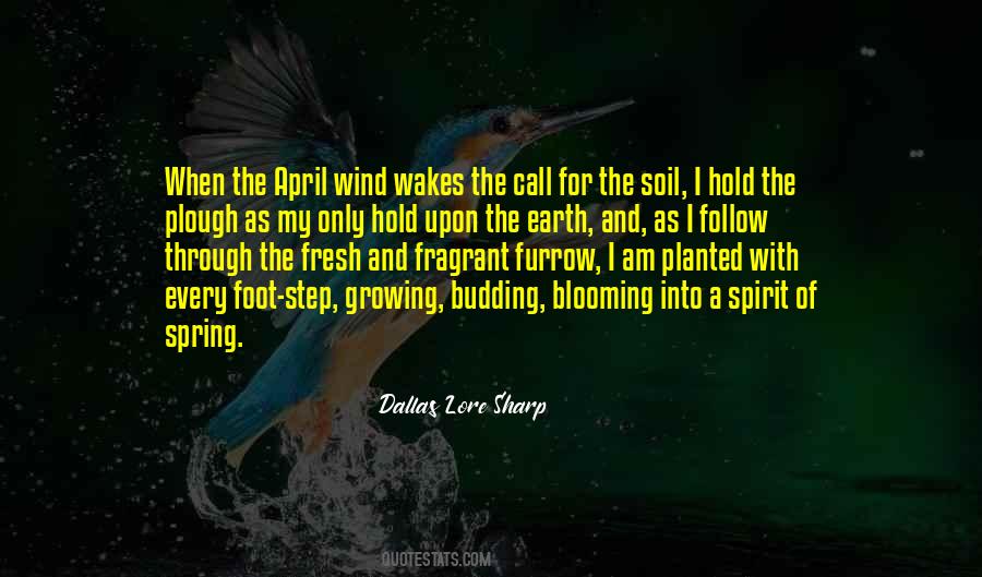 Earth Soil Quotes #7667