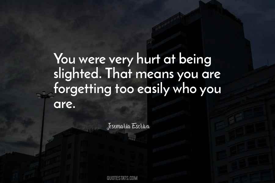 Easily Hurt Quotes #899488