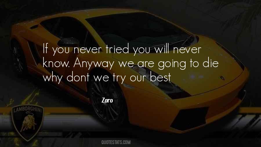 We Will Never Know Quotes #1047030