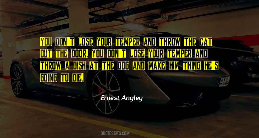 You Lose Your Temper Quotes #864638