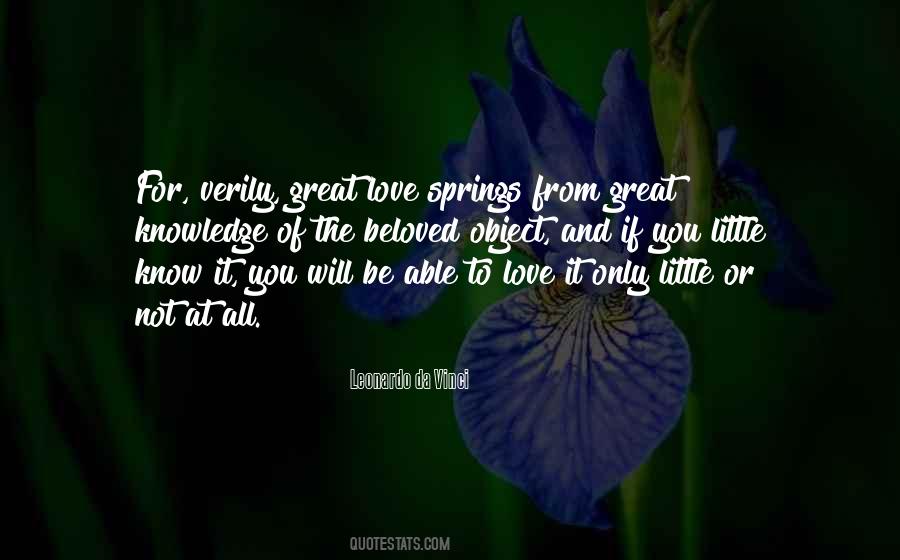 Little Things With Great Love Quotes #97800