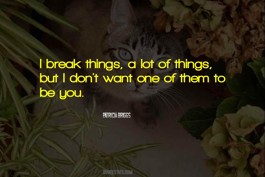 I Want A Break Quotes #1186809