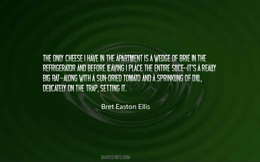 Easton Ellis Quotes #476242