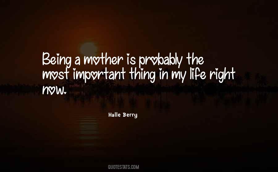 My Mother Is My Life Quotes #1528826