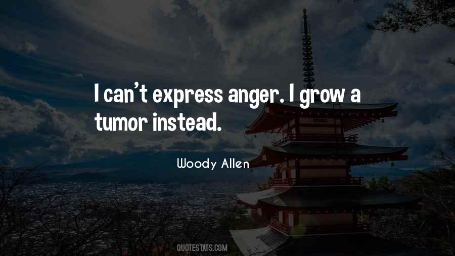 Express Your Anger Quotes #489341