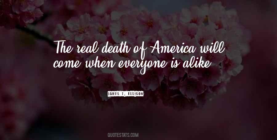 America Diversity Quotes #577628