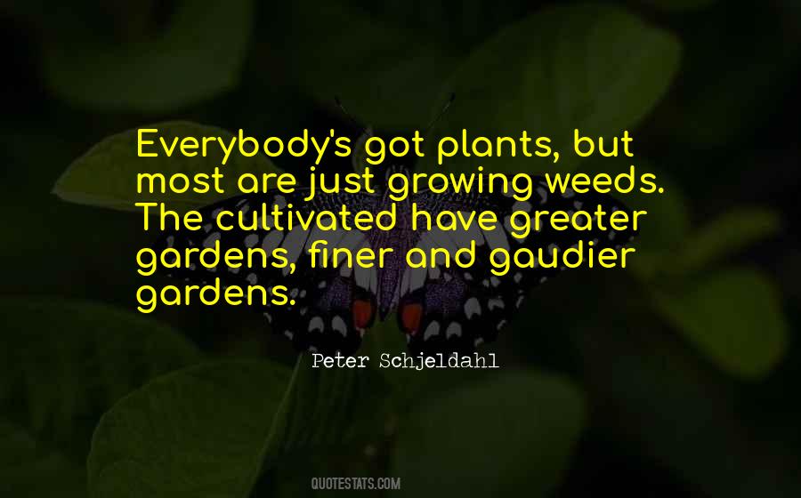 If You Are Not Growing Quotes #20694