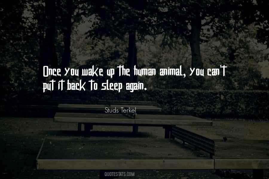 Back To Sleep Quotes #1192906