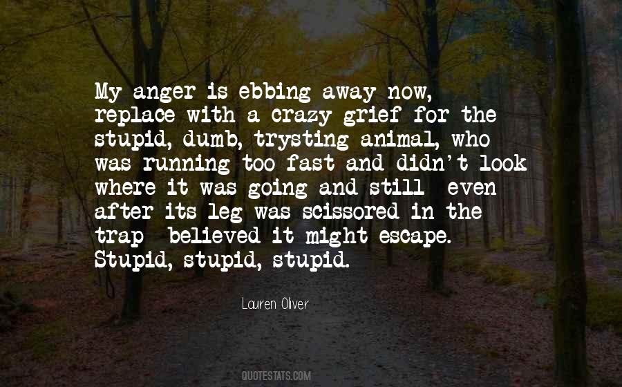 Ebbing Quotes #933693