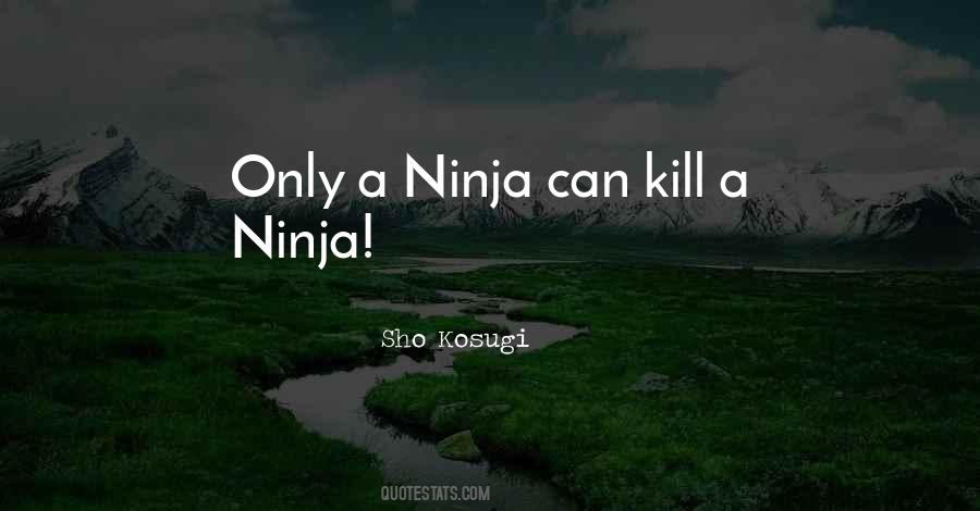 Quotes About A Ninja #417273