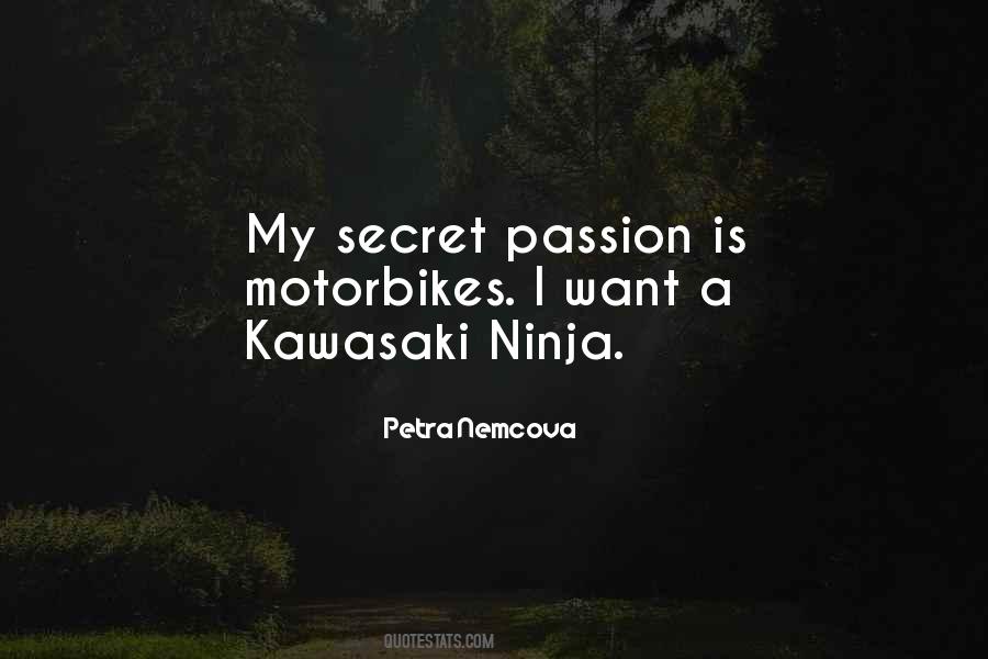 Quotes About A Ninja #708041