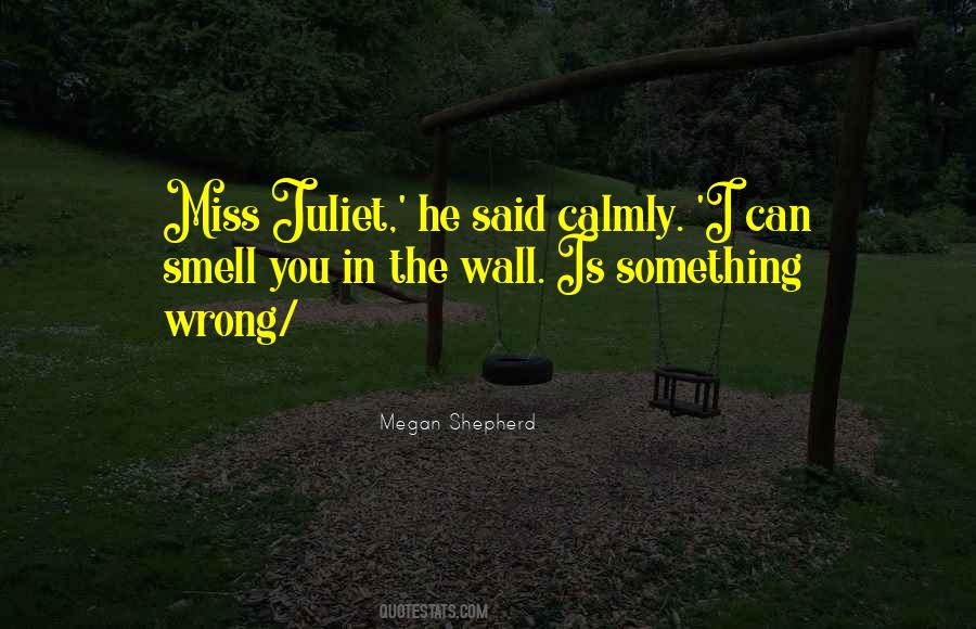 Quotes About Miss Something #122274