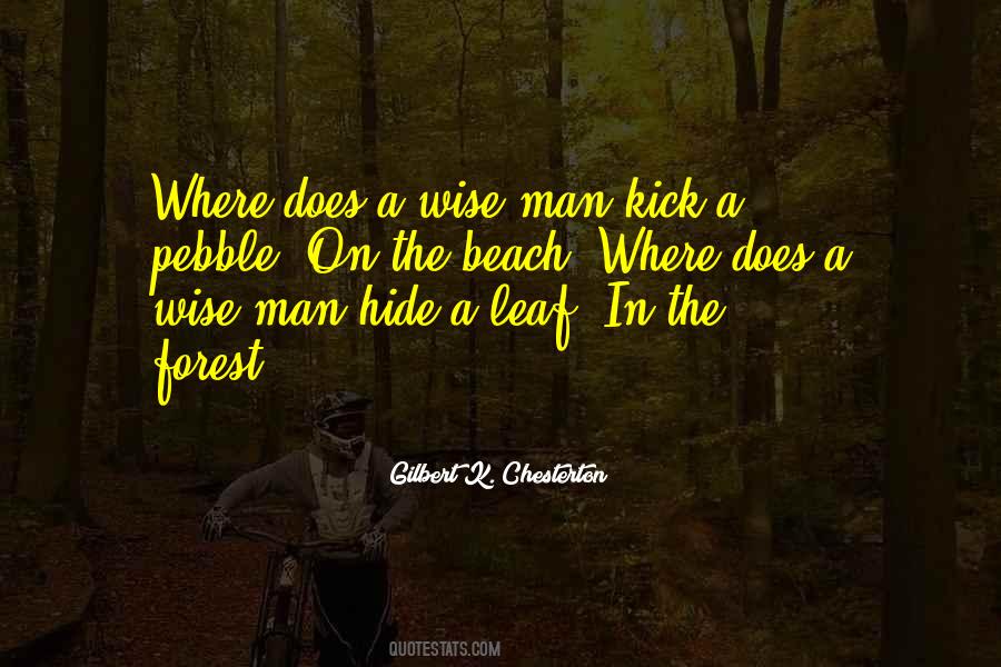 Beach Where Quotes #206130