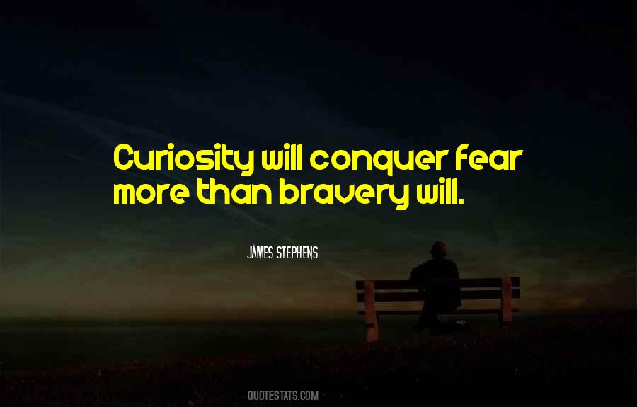 Bravery Fear Quotes #940689