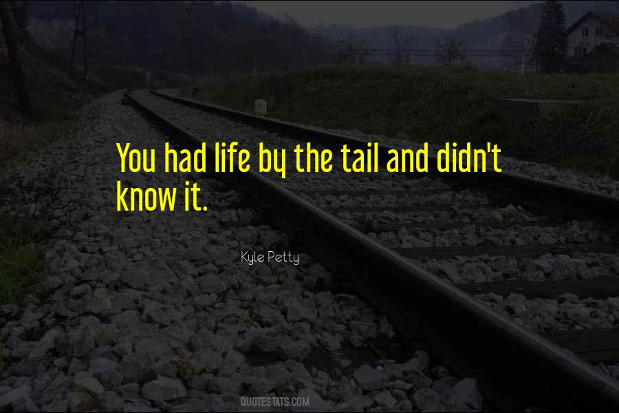 Petty Life Quotes #532447