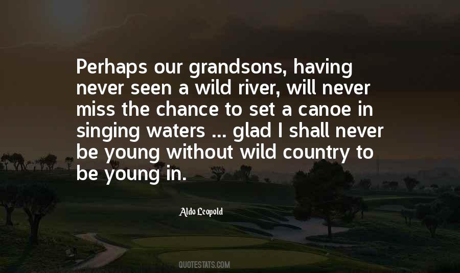 Never Miss The Water Quotes #627227 Never Miss The Water Quotes #627227