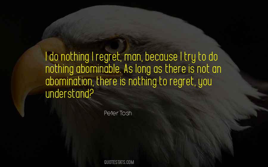 I Do Not Regret Quotes #1362740