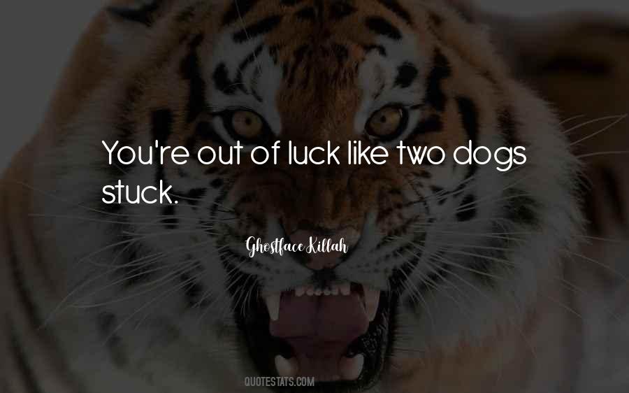 Dog Rap Quotes #254015