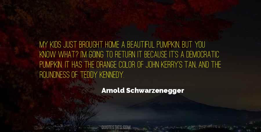 Home Beautiful Quotes #16187